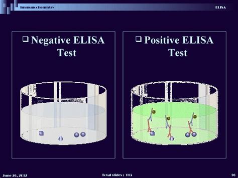 elisa test negative means